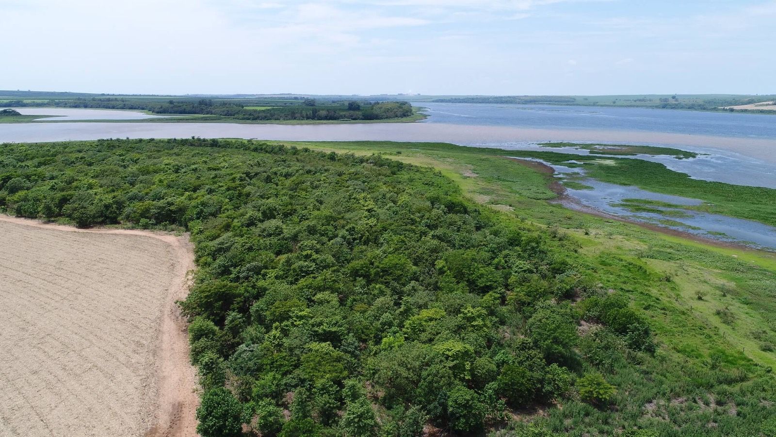 Progetto Tietê Forests, Brasile