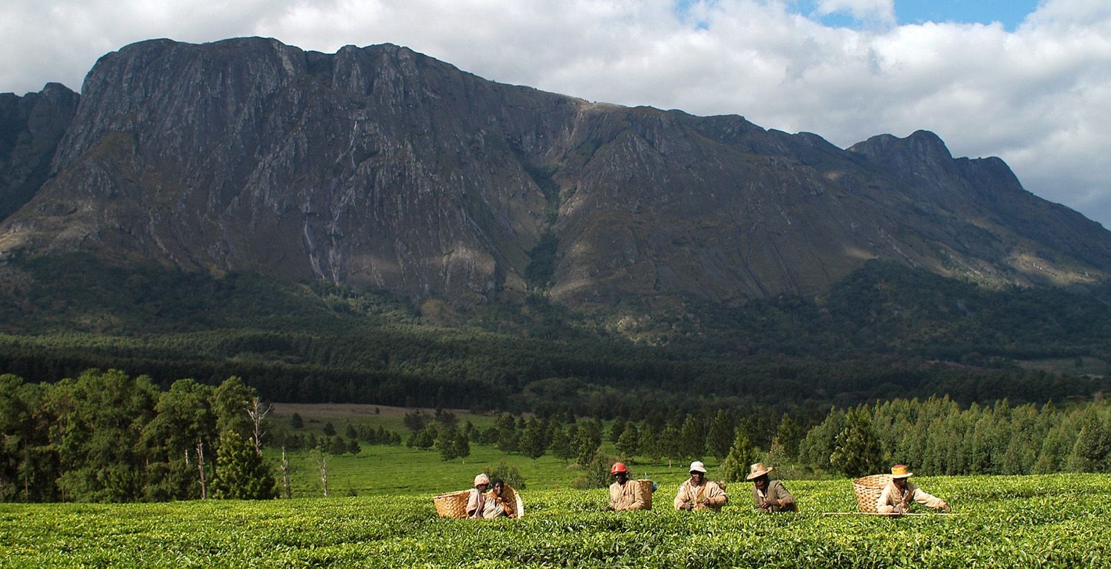Progetto Mount Mulanje, Malawi